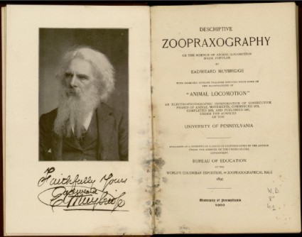 descriptive_zoopraxography